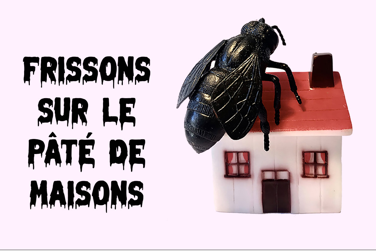 Frissons-sur-le-pate-de-maisons_compagnie-Bakelite